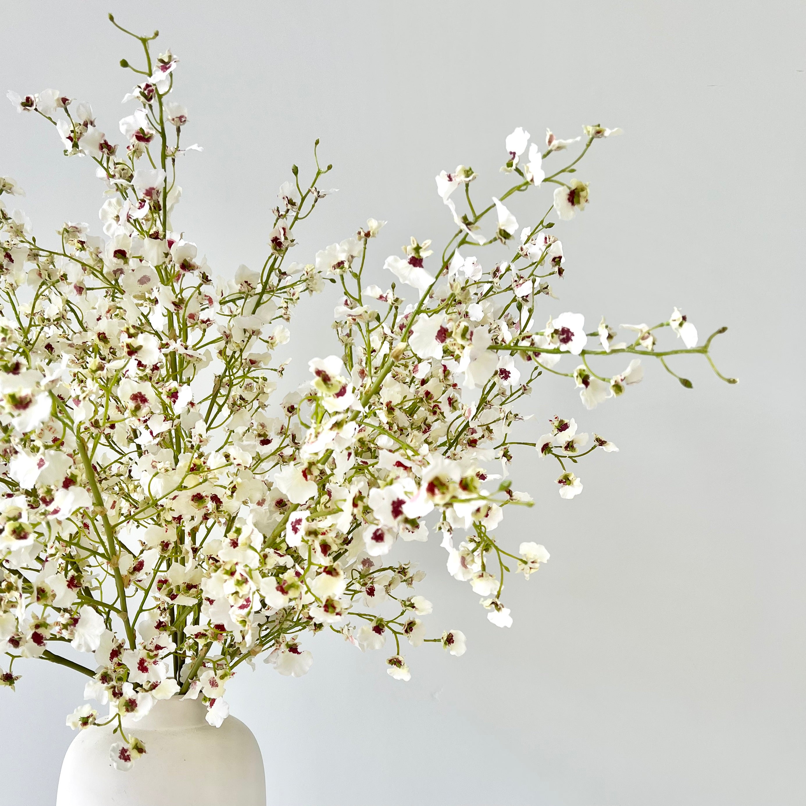 Wholesale Artificial Flowers High Quality Faux Silk Flowers for Wholesale and Trade Artificial White Oncidium Orchid in bulk