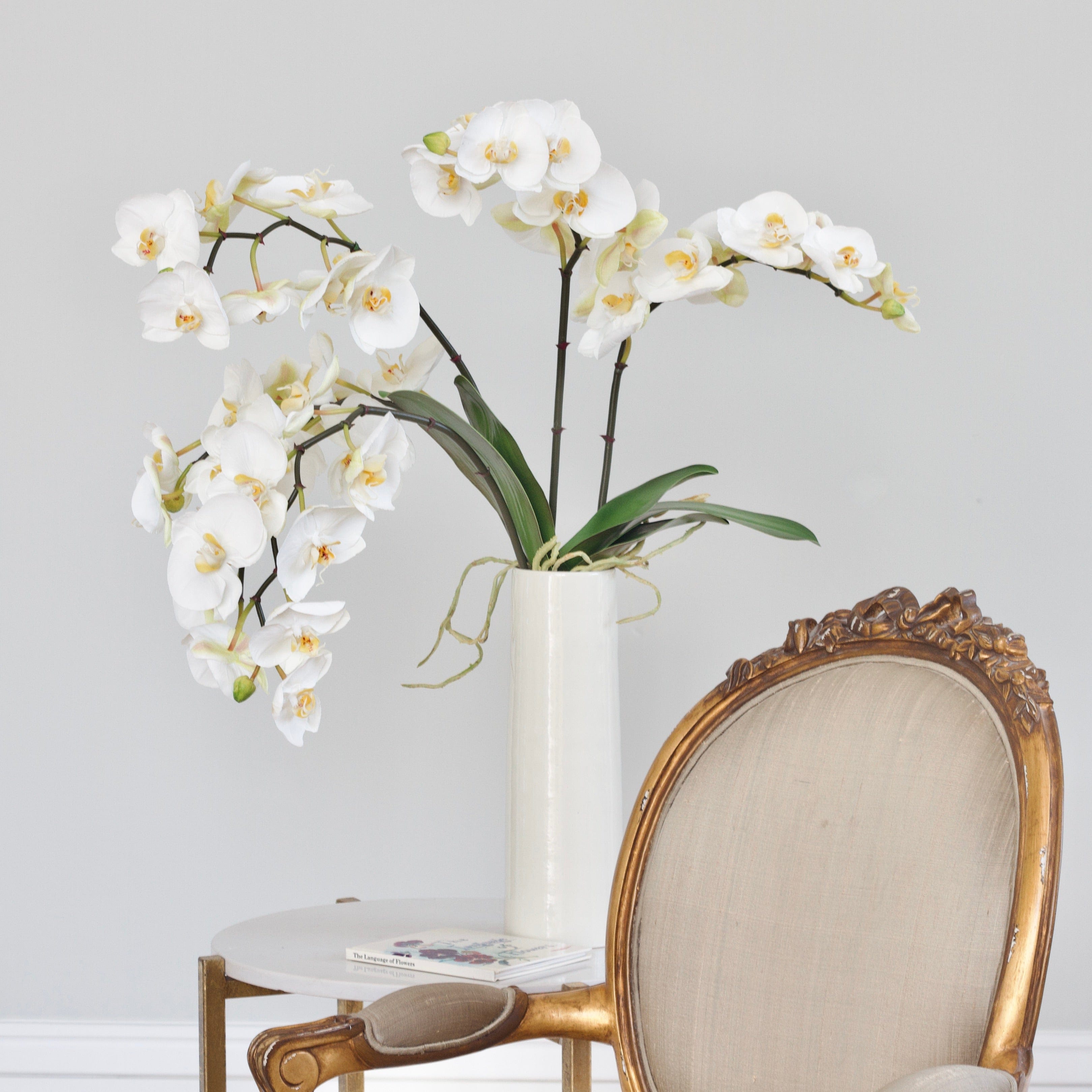 luxury artificial fake silk flowers white phalaenopsis orchid stem large flowers lifelike realistic faux flowers leaves Prestbury Vase ABP1828 (1) 