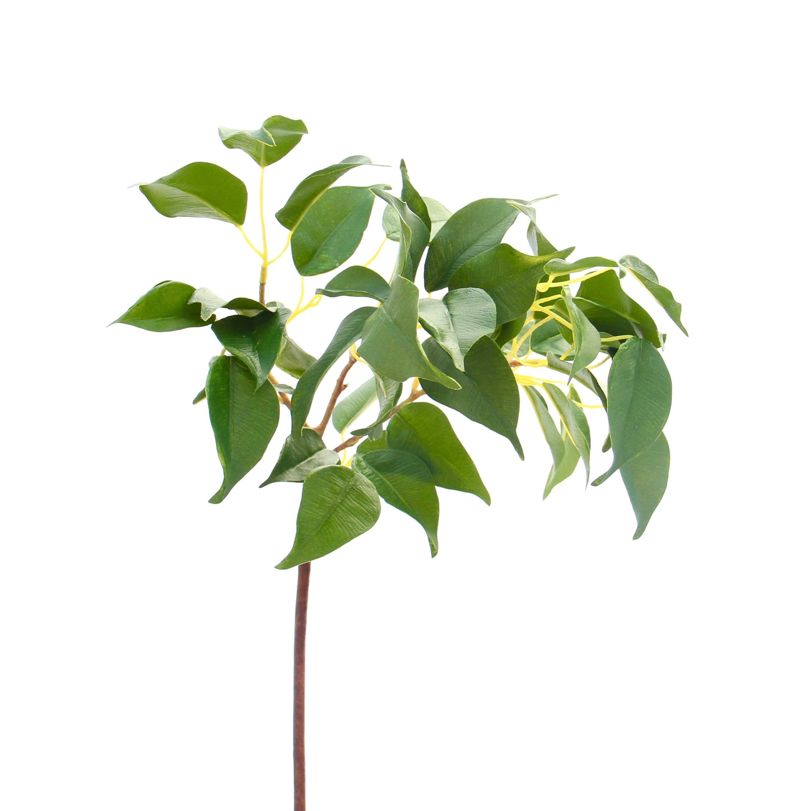 Artificial flowers luxury faux silk green ficus leaf lifelike realistic faux flowers buy online from Amaranthine Blooms UK