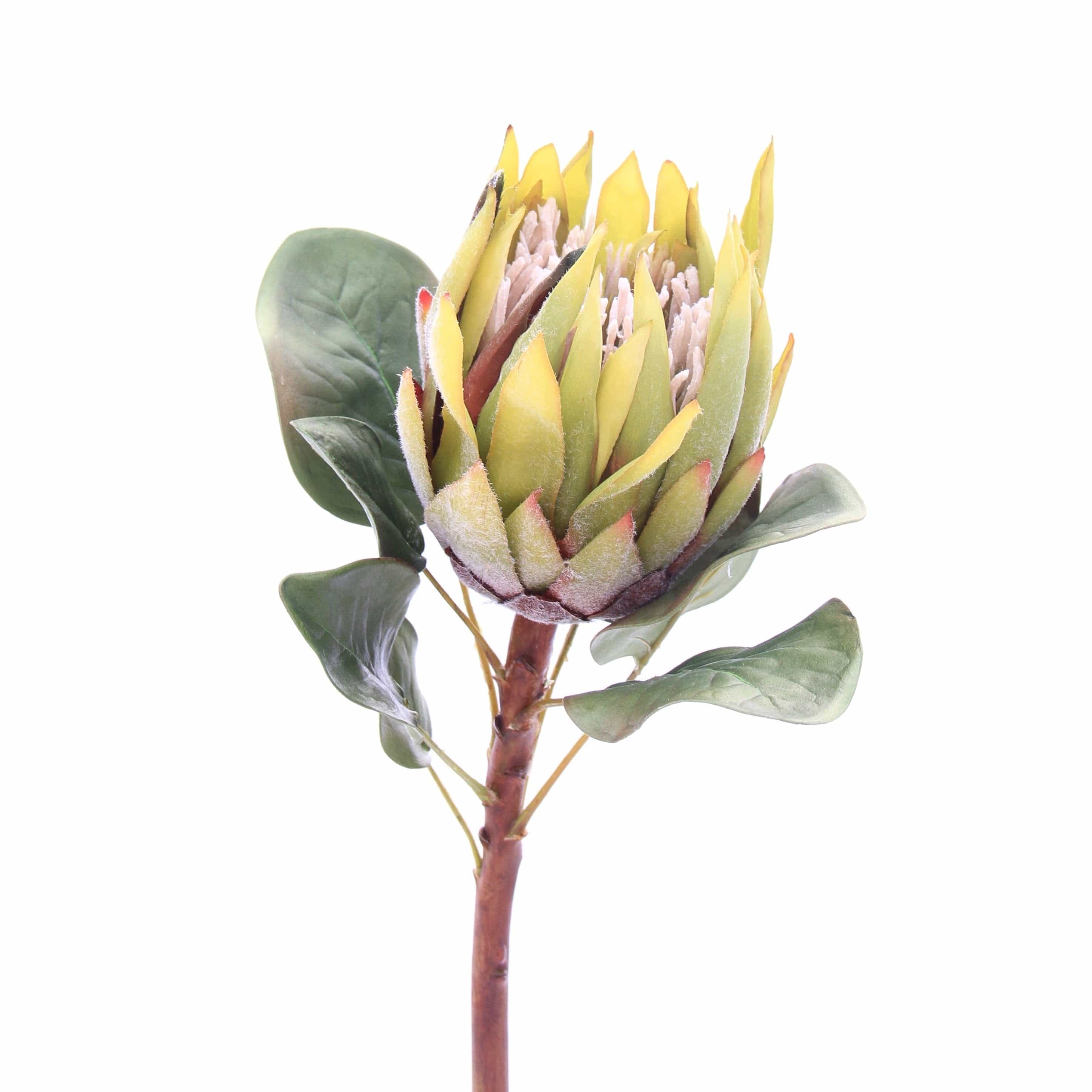 artificial flowers luxury faux green king protea lifelike realistic faux flowers buy online from Amaranthine Blooms Hong Kong UK