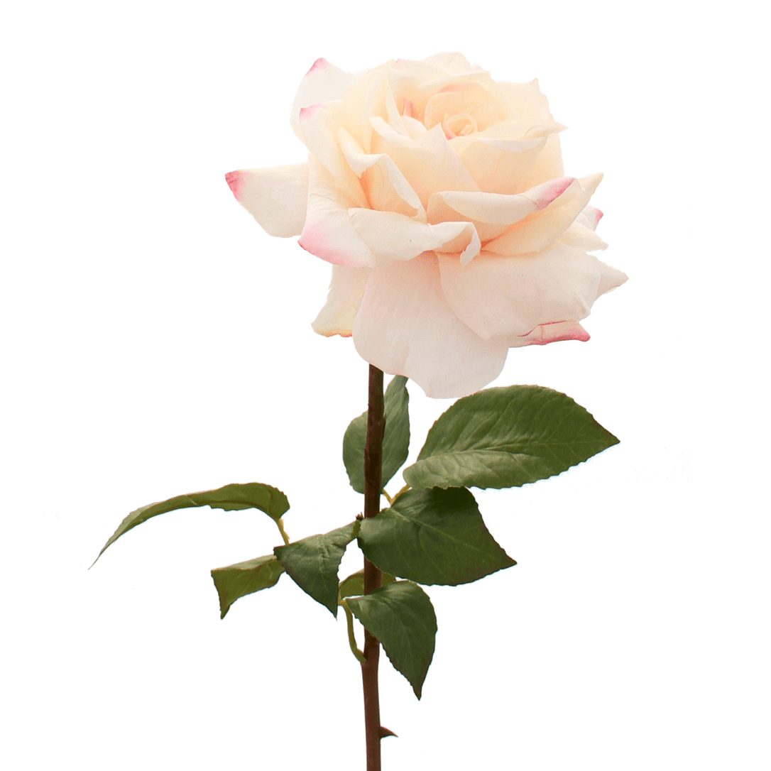 artificial flowers luxury faux silk pale pink hybrid tea rose lifelike realistic faux flowers buy online from Amaranthine Blooms UK