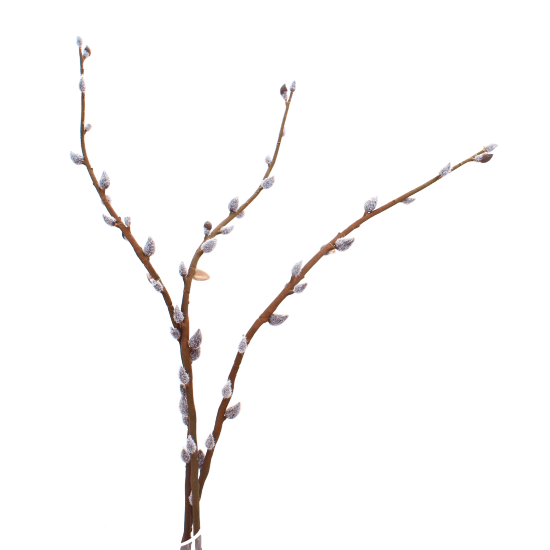 Artificial Brown Pussy Willow Sample