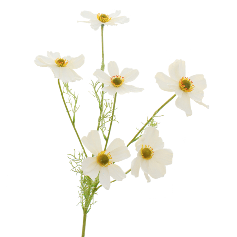 artificial flowers luxury faux silk white cosmos  lifelike realistic faux flowers buy online from Amaranthine Blooms Hong Kong UK