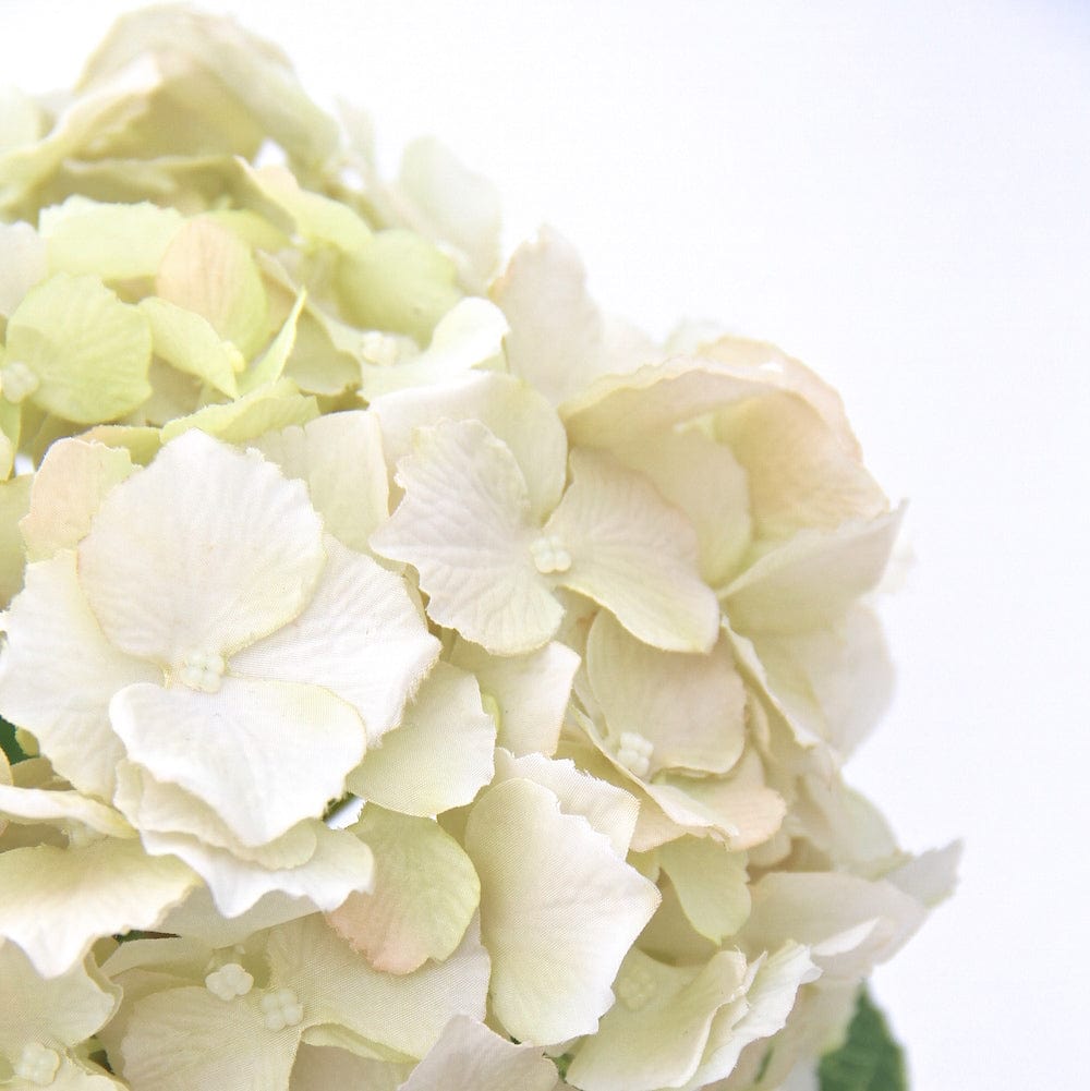 artificial flowers luxury faux silk cream lacecap hydrangea lifelike realistic faux flowers buy online from Amaranthine Blooms UK