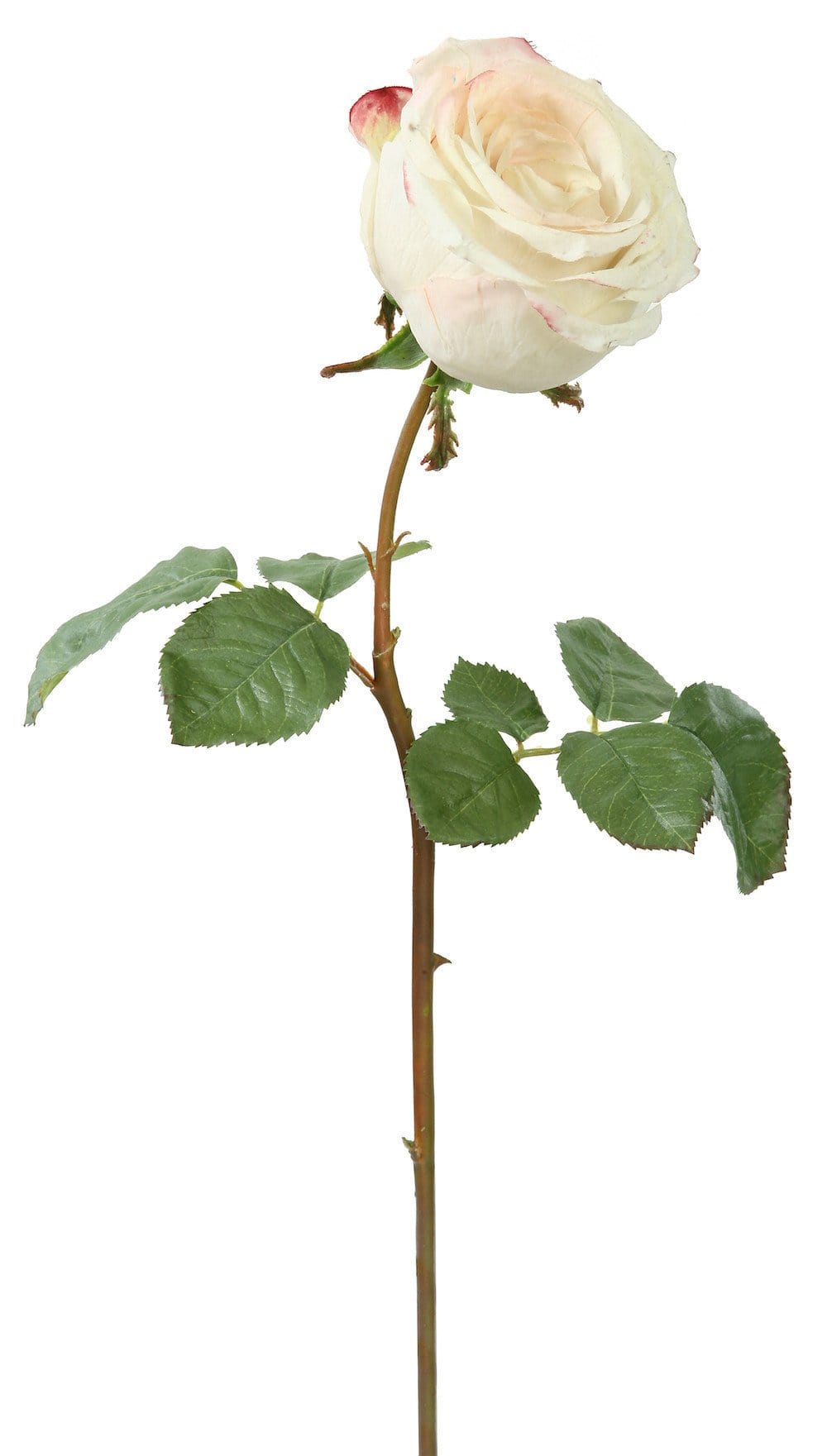 this luxury lifelike and realistic artificial large white rose silk flower is available from Amaranthine Blooms in Hong Kong and UK