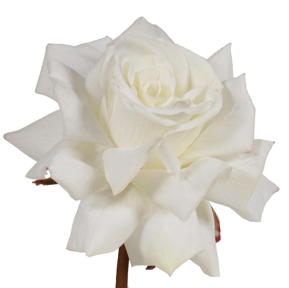 buy online this luxury lifelike and realistic artificial white hybrid tea rose silk flower is available from Amaranthine Blooms in Hong Kong and UK