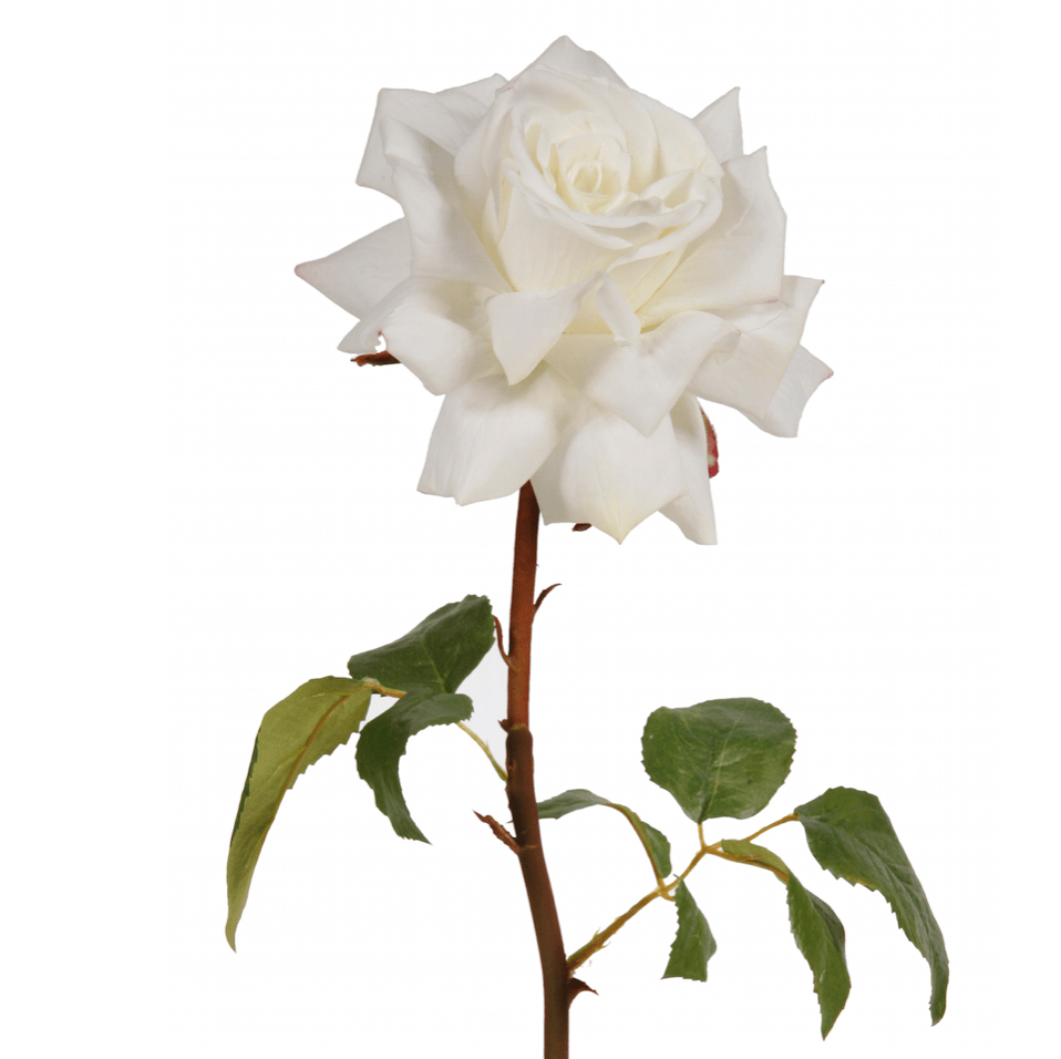 this luxury lifelike and realistic artificial white hybrid tea rose silk flower is available from Amaranthine Blooms in Hong Kong and UK
