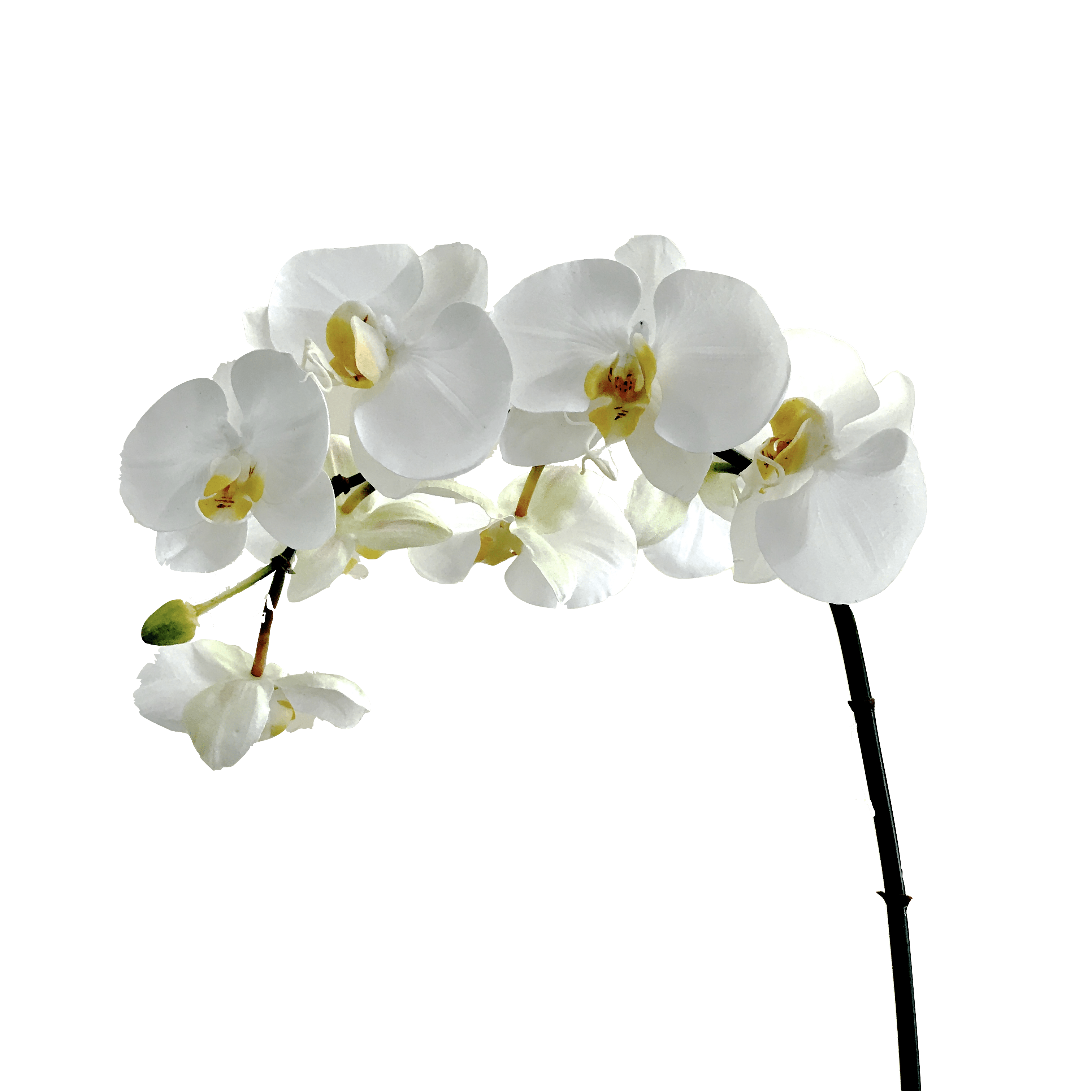 luxury artificial fake silk flowers white orcihd stem large flowers lifelike realistic faux flowers buy online from Amaranthine Blooms Hong Kong UK
